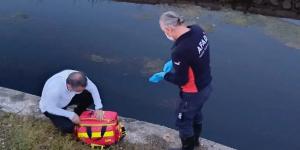 Amasya’da Balıklar, Tokat’ta Kazlar Öldü