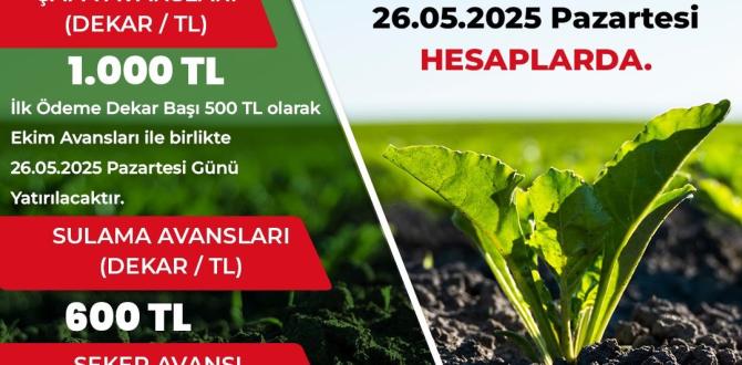 Amasya’da Pancar Çiftçilerine Müjde: Dekar Başına Bin TL Avans Ödemesi