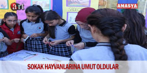 SOKAK HAYVANLARINA UMUT OLDULAR