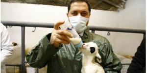 VALİ MASATLI GÖKHÖYÜK TARIM İŞLETMESİNİ ZİYARET ETTİ