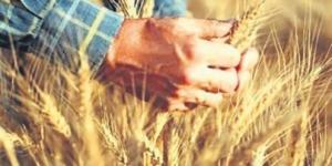 12ARALIK 2022 TARİHİNE KADAR UZATILDI