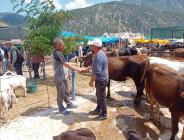 Kurbanlık Fiyatları Belli Oldu: Bu Yıl 3 Milyon 350 Bin Hayvan Kesilecek